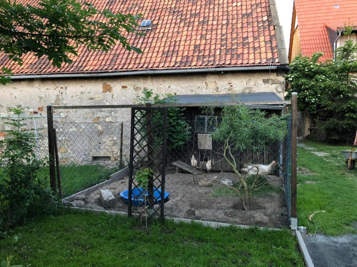Ferienwohnung Gans Auguste Dohna Zewnętrze zdjęcie